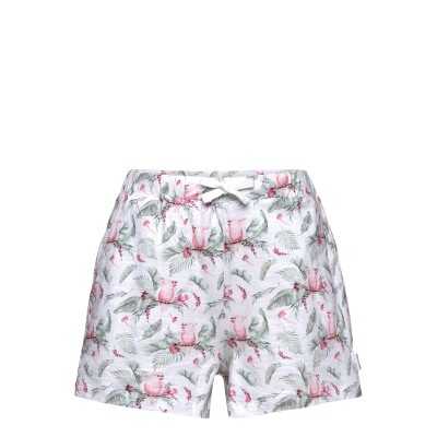 HCHEIA-PANTALONCINI - PANTALONI - HCHEIA-PANTALONCINI - PANTALONI -