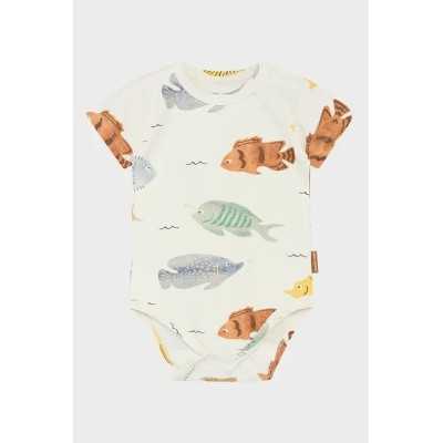 -HCBOB-BODY - Home